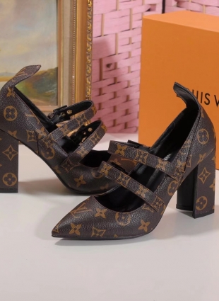 Louis Vuitton shoes brown