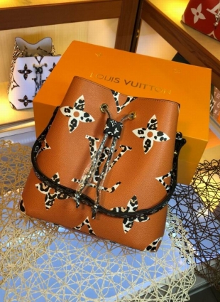 Louis Vuitton bag