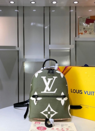 Louis Vuitton backpack