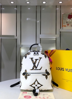 Louis Vuitton backpack