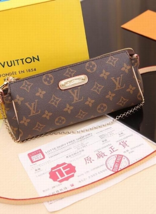 Louis Vuitton bag