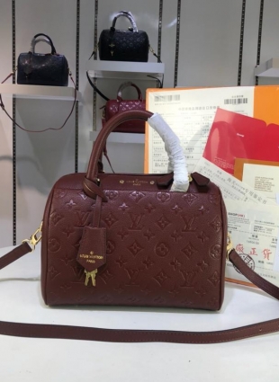 Louis Vuitton bag 25 cm