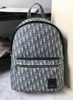 Dior backpack