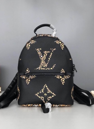 Louis Vuitton backpack