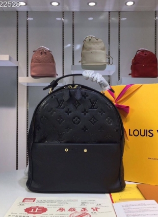 Louis Vuitton backpack 24x27x14 cm