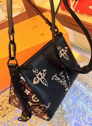 Louis Vuitton bag