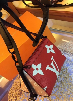 Louis Vuitton bag