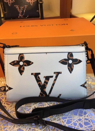 Louis Vuitton bag