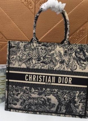 DIOR bag