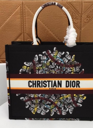 DIOR bag