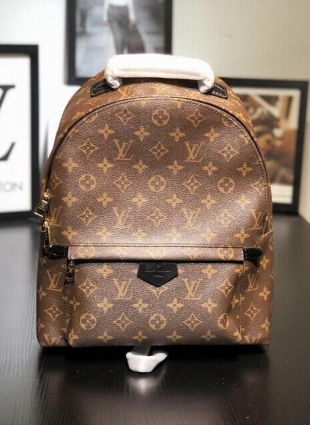 Louis Vuitton backpack MM