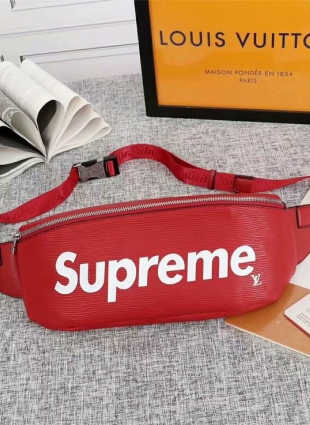 Louis Vuitton belt bag