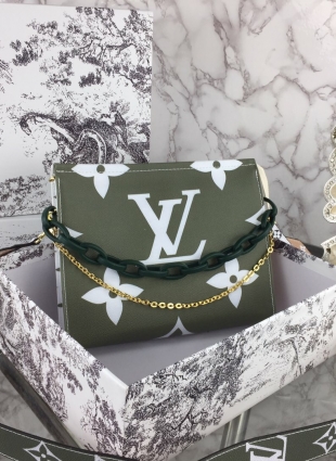 Louis Vuitton bag