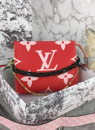 Louis Vuitton bag
