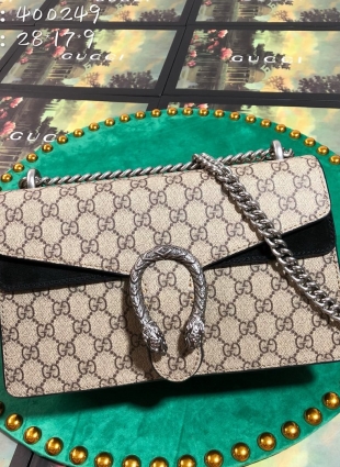 Gucci bag