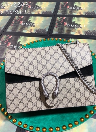 Gucci bag