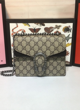Gucci bag