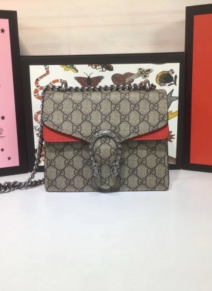 Gucci bag