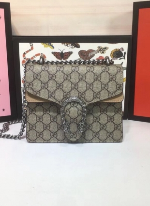 Gucci bag