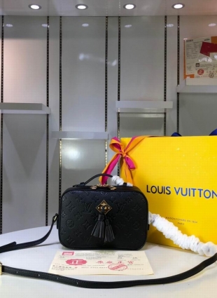 Louis Vuitton bag