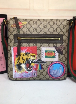 Gucci bag
