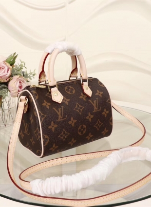 Louis Vuitton bag