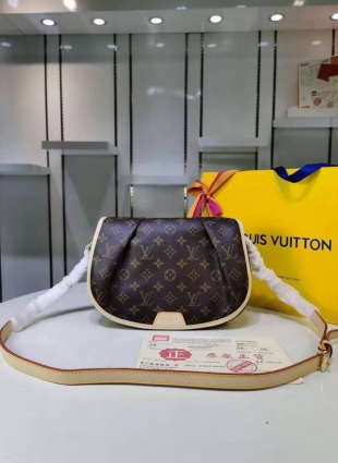 Louis Vuitton bag