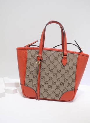 Gucci bag