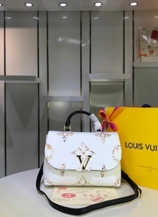 Louis Vuitton bag