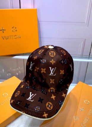 Louis Vuitton bag Cap