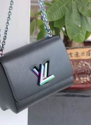 Louis Vuitton bag