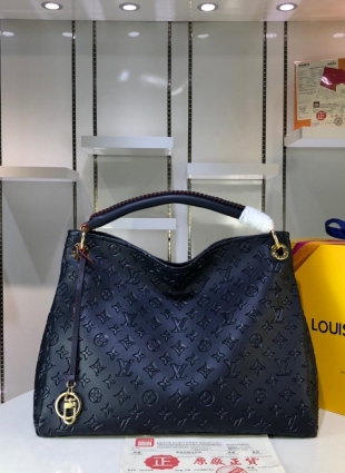 Louis Vuitton bag