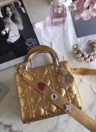 DIOR bag