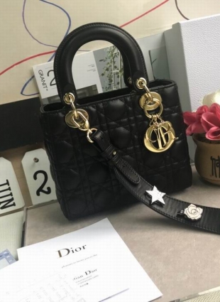 DIOR bag