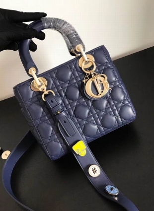 DIOR bag