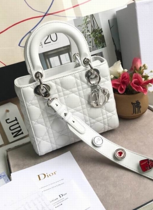 DIOR bag
