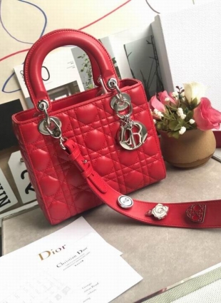 DIOR bag