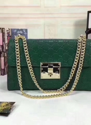 Gucci bag