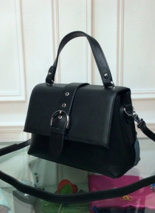Delvaux Bags