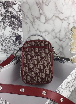 DIOR bag
