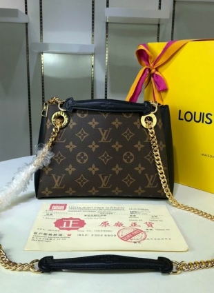 Louis Vuitton bag