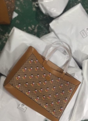 Gucci bag
