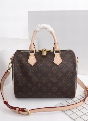 Louis Vuitton speedy 25 bag
