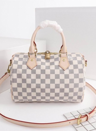 Louis Vuitton speedy 25 bag