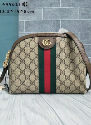 Gucci bag