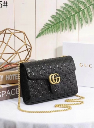 Gucci bag
