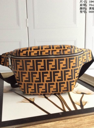 Fendi bag