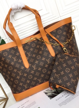 Louis Vuitton bag