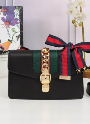 Gucci bag