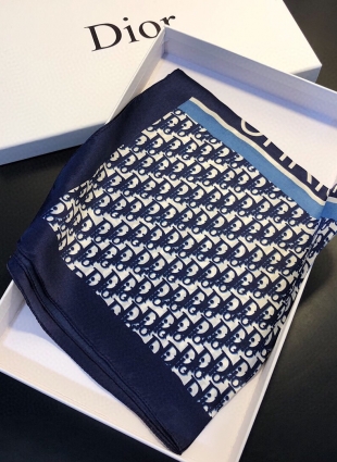 Christian Dior scarf
